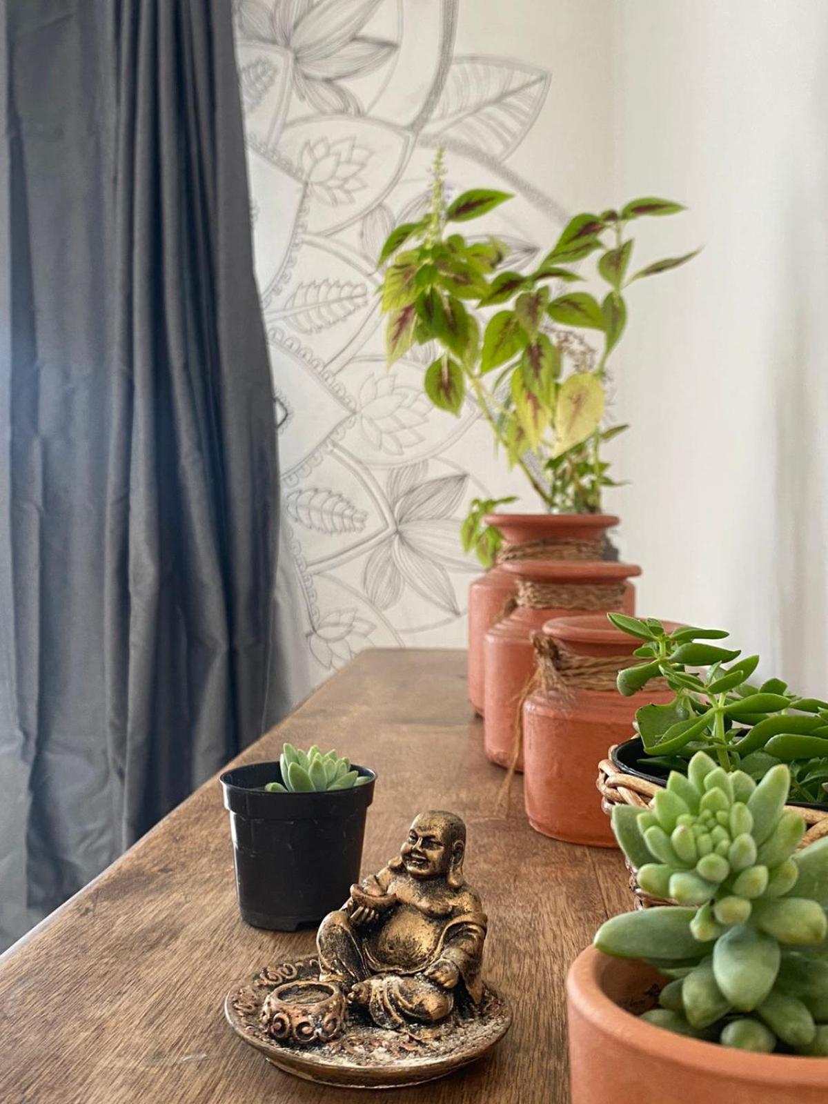 Albergue Floriarte & *